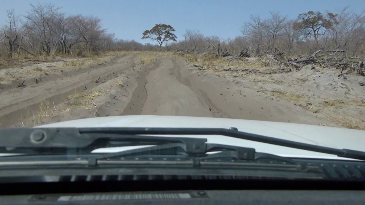 Day 2 Linyanti to Savuti along the cut line. Very very sandy in places.