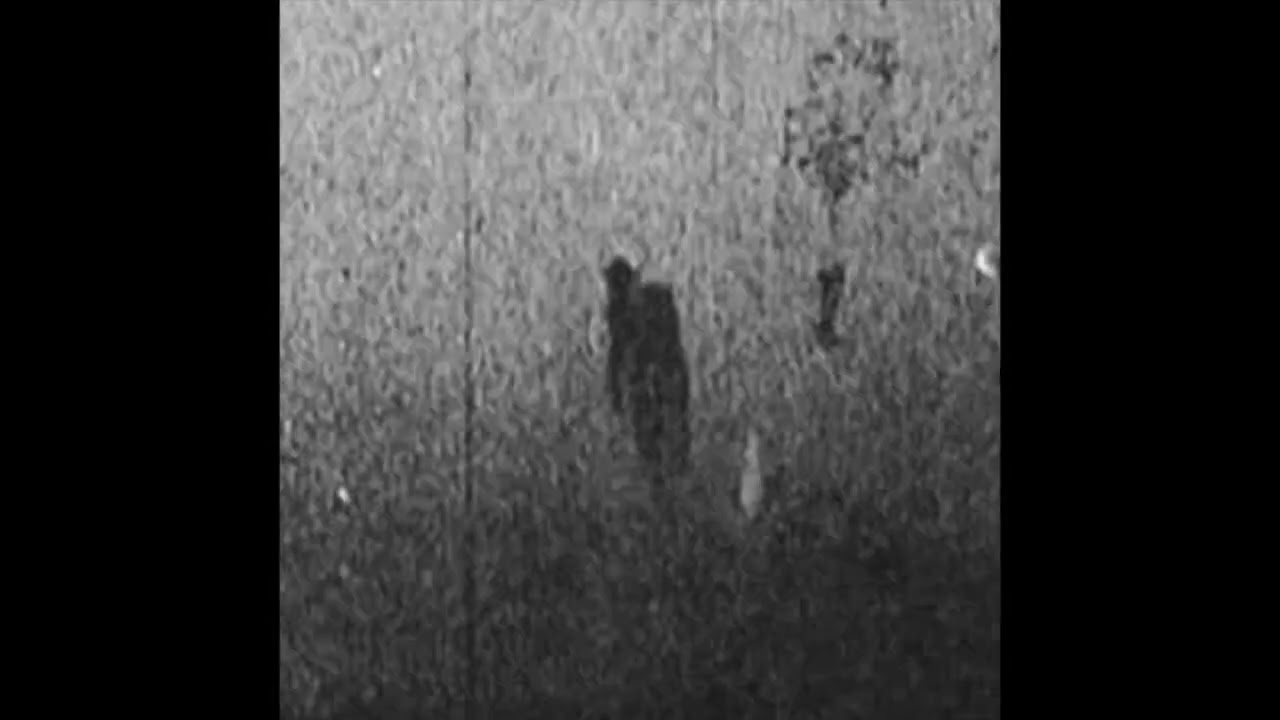 wszedziezuber - PTSD