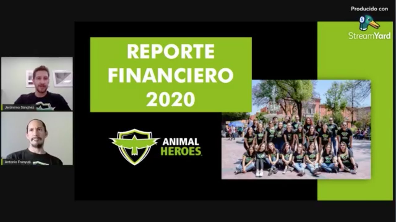 ANIMAL HEROES - Reporte financiero 2020