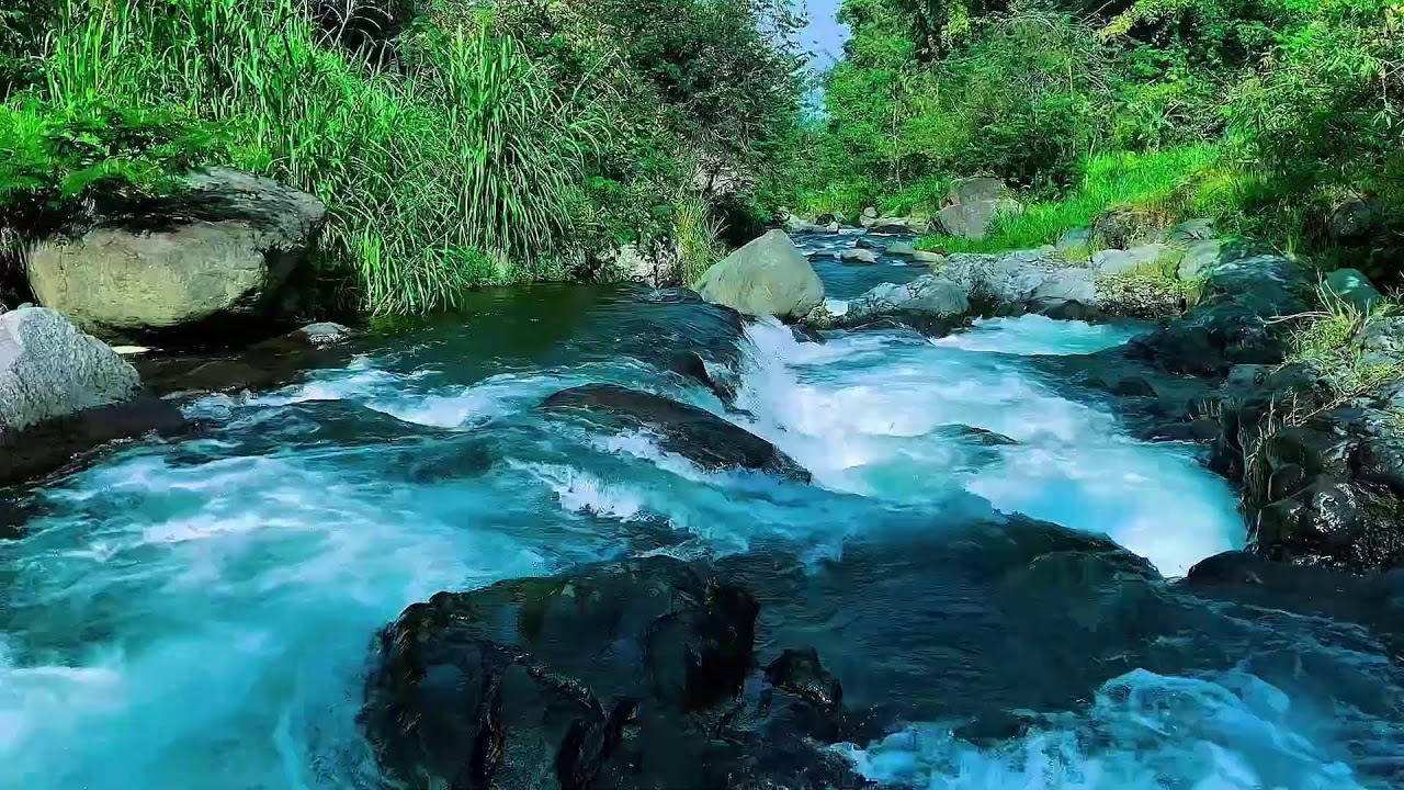 Flowing Mountain Stream Sounds, Forest River Calm Water, Sleep