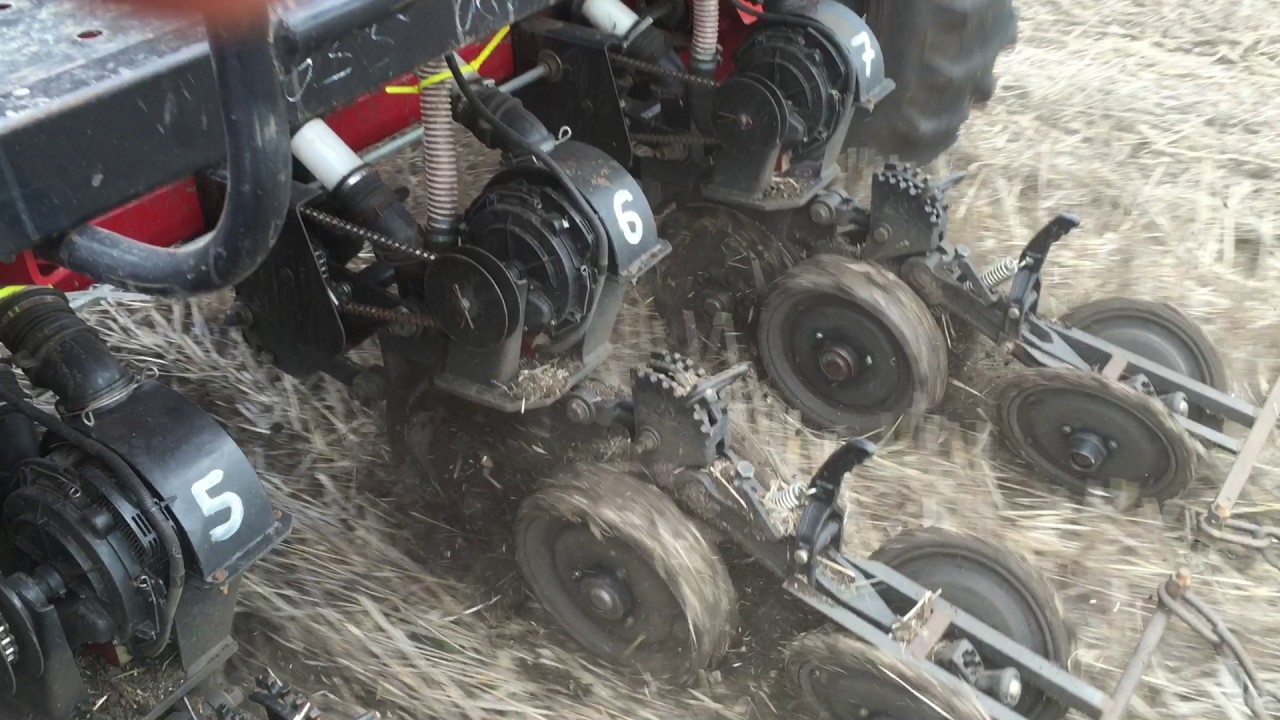 Semeato SSM 27 Precision Planting, No Till Sunflower seeding in Russia 2016