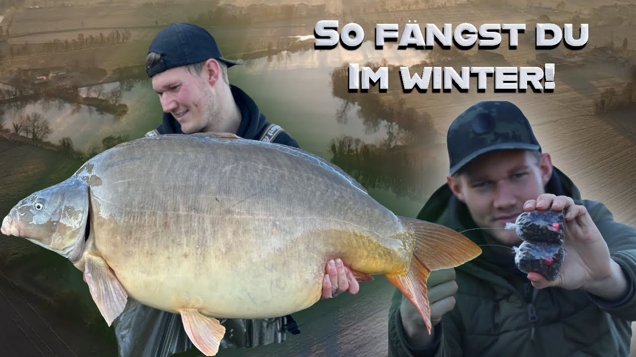 Traumsession im Winter, Karpfenangeln mit Solid Bags, Parco Del Brenta Carpfishing incl. Gewinnspiel