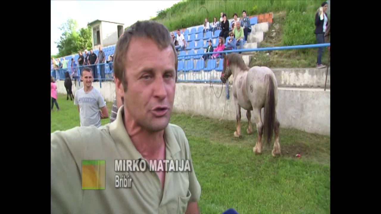 Izložba konja ili...?