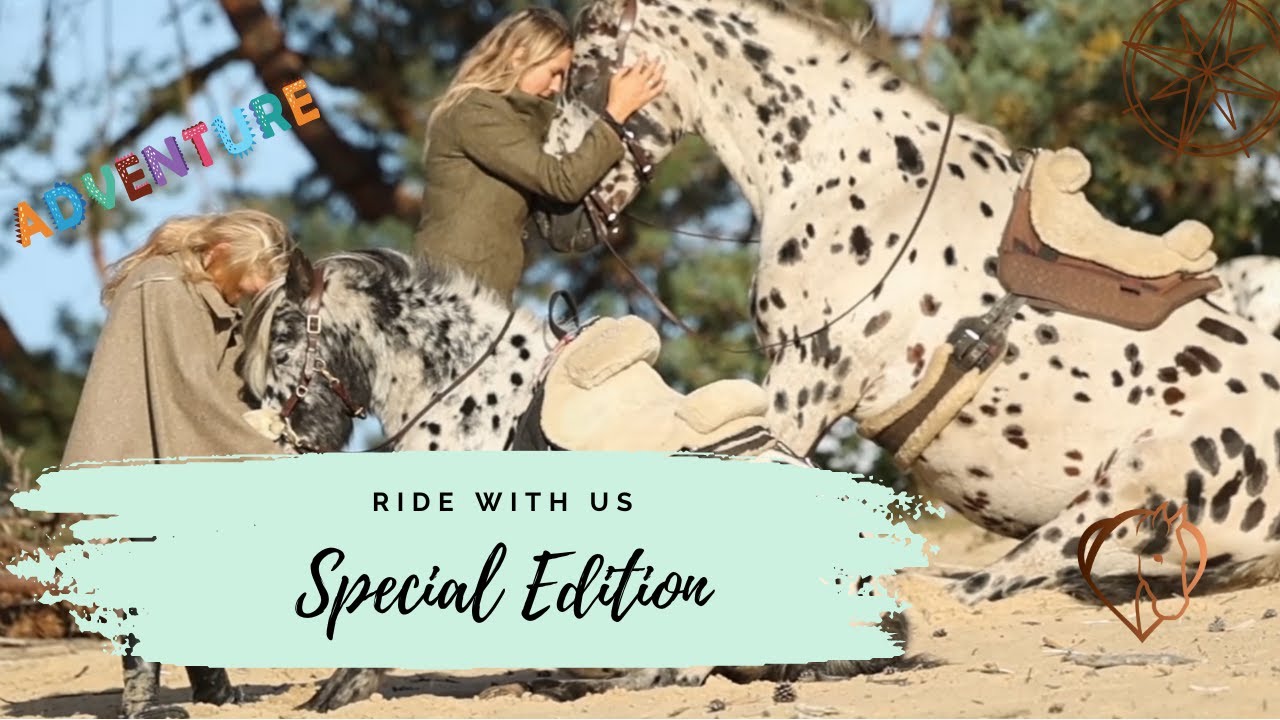 ✨ A SPECIAL EDITION GOLDEN RIDE WITH US ✨