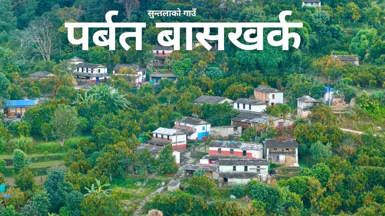  Parbat Bashkharka | सुन्तलाले चिनिएको बाशखर्क गाउँ |Orange Village of Parbat Nepal