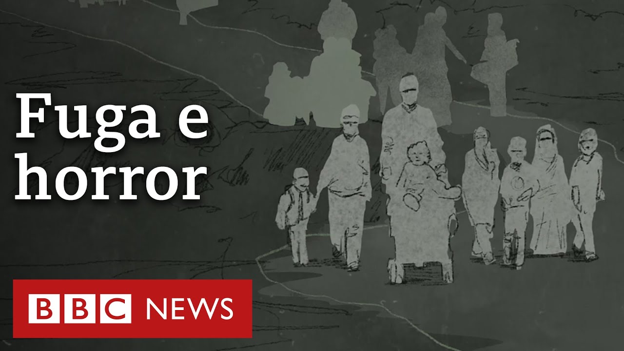 'Vimos explosões e corpos em decomposição': jornalista da BBC relata fuga do norte de Gaza