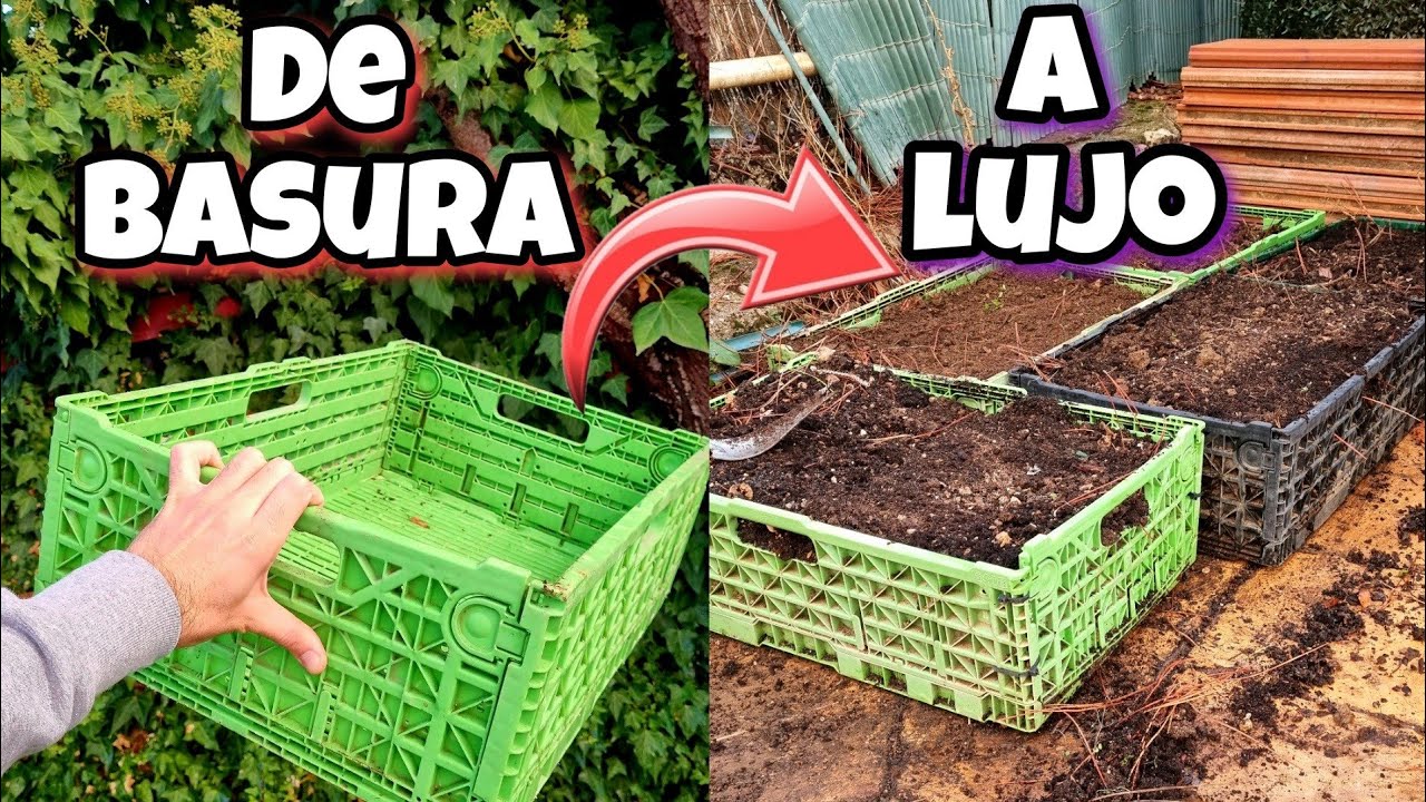 De BASURA a LUJO! Te sorprenderás al ver Que hacer con estas CAJAS | Huerto urbano en casa y Plantas