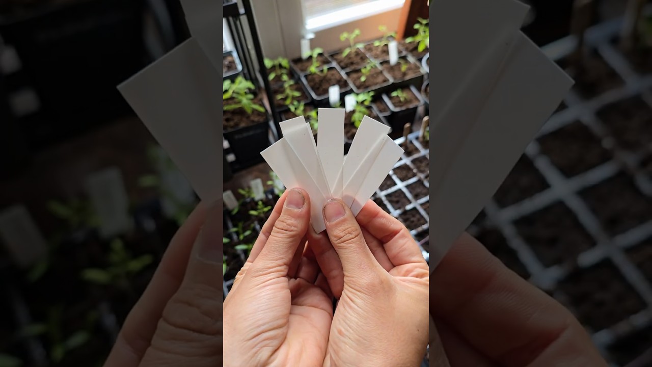 STOP Buying Plant Tags &mdash; Use Your Trash! ♻️