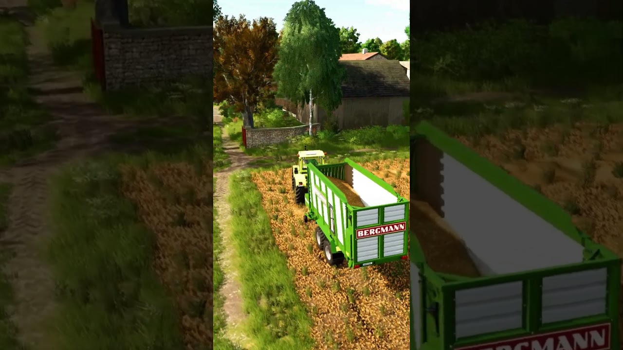 Collecting straw with Bergmann Repex 34S | Hof Bergmann | Farming Simulator 25  #farmingsimulator25