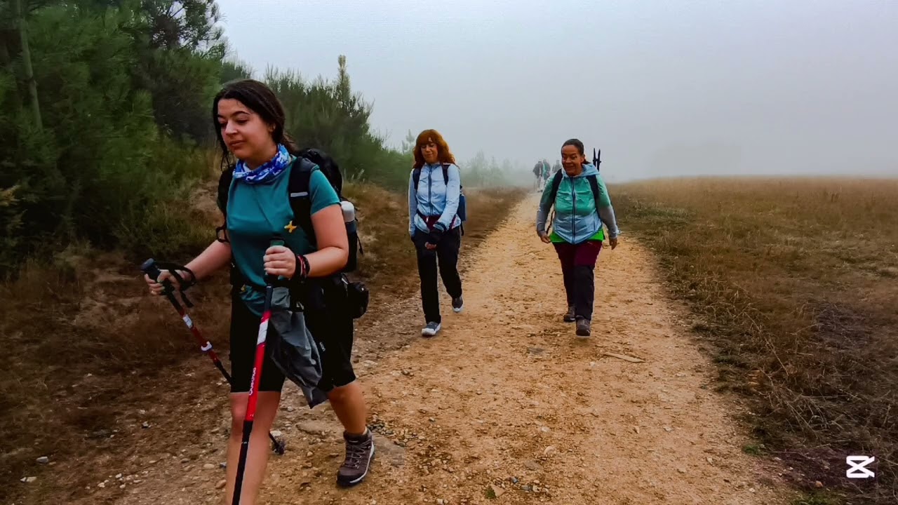 Etapa 6  Palas de Rei  25 Km  etapa rompepiernas, de subidas constantes, y nosotros no fallamos.