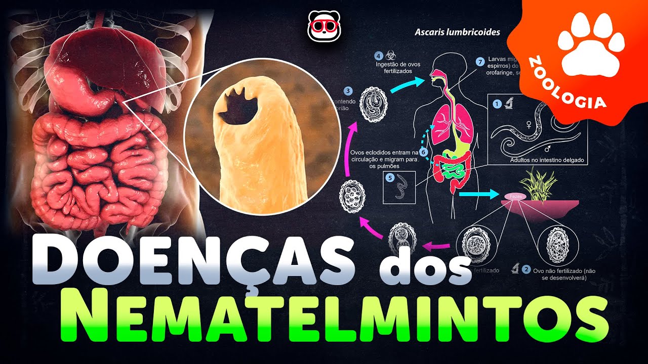 Doenças dos Nematelmintos
