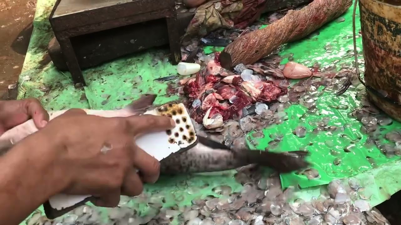 Fish Market || Fish cutting 