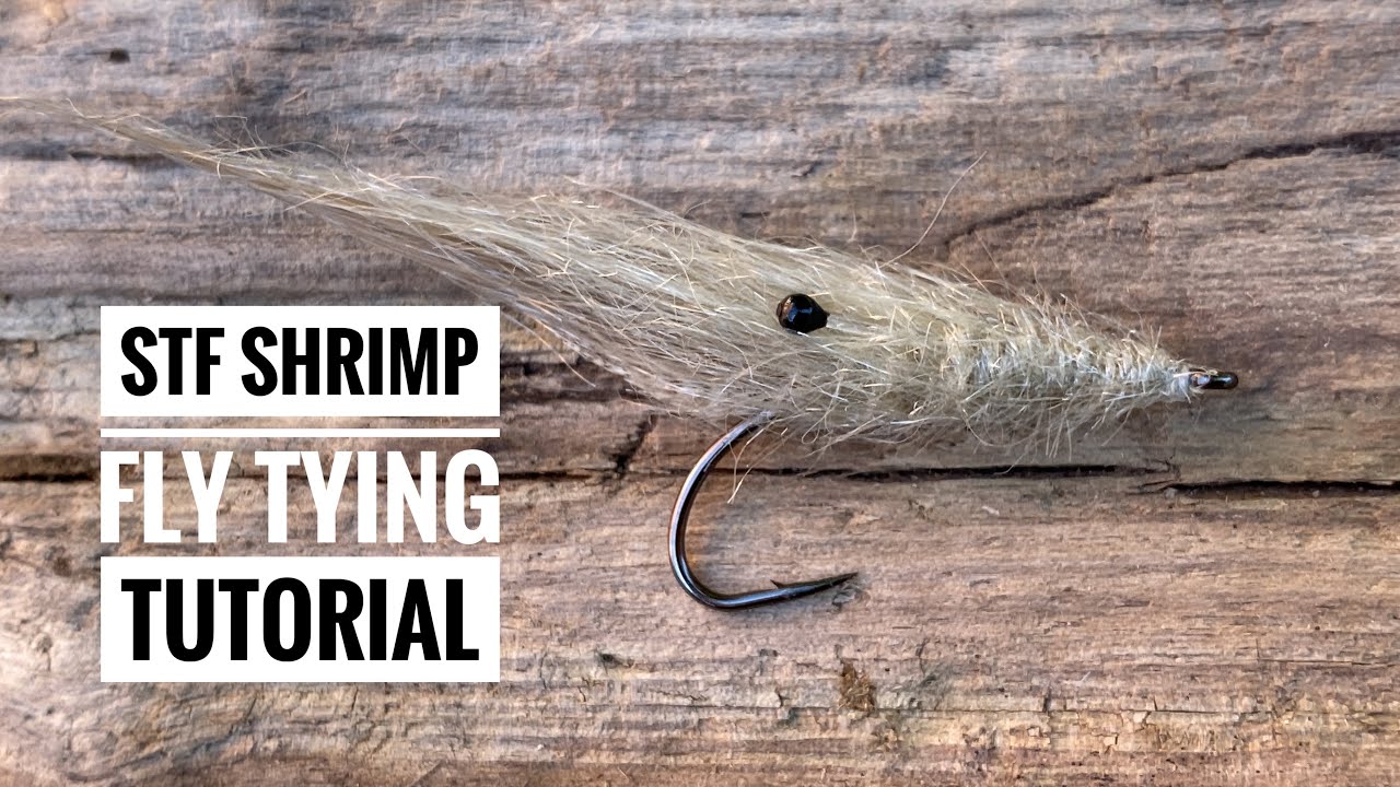 STF Shrimp fly tying tutorial. A classic for sea trout 🎣💯⭐️
