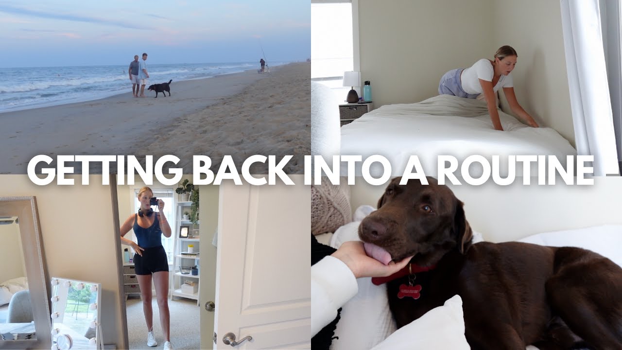 adulting is stressful... a week in my life back at home