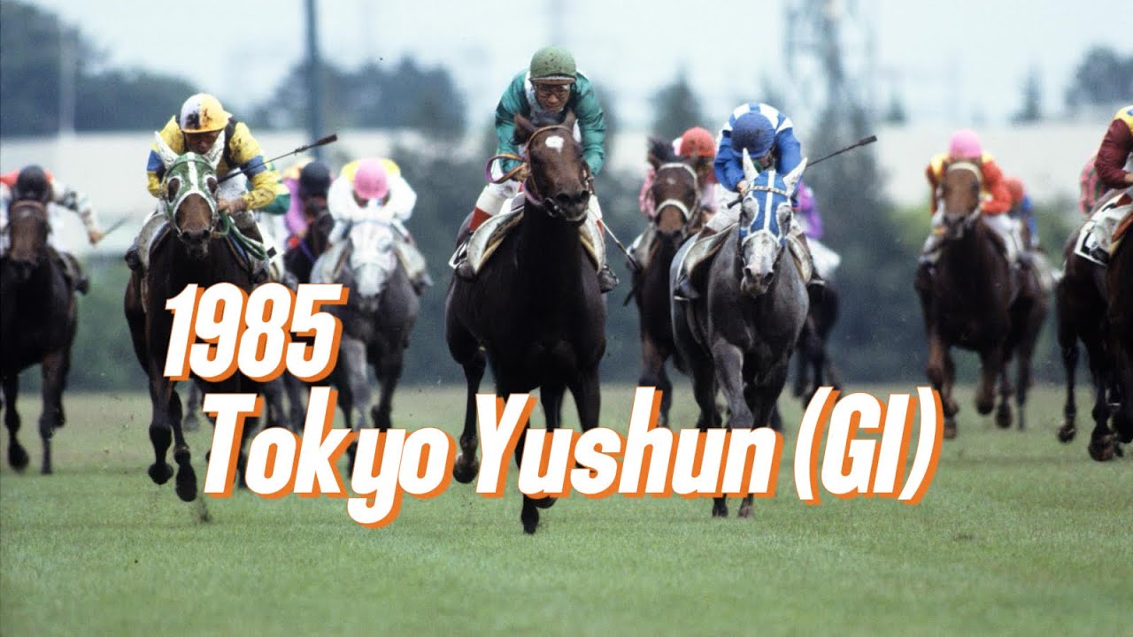 1985 Japanese Derby (GI) : Sirius Symboli