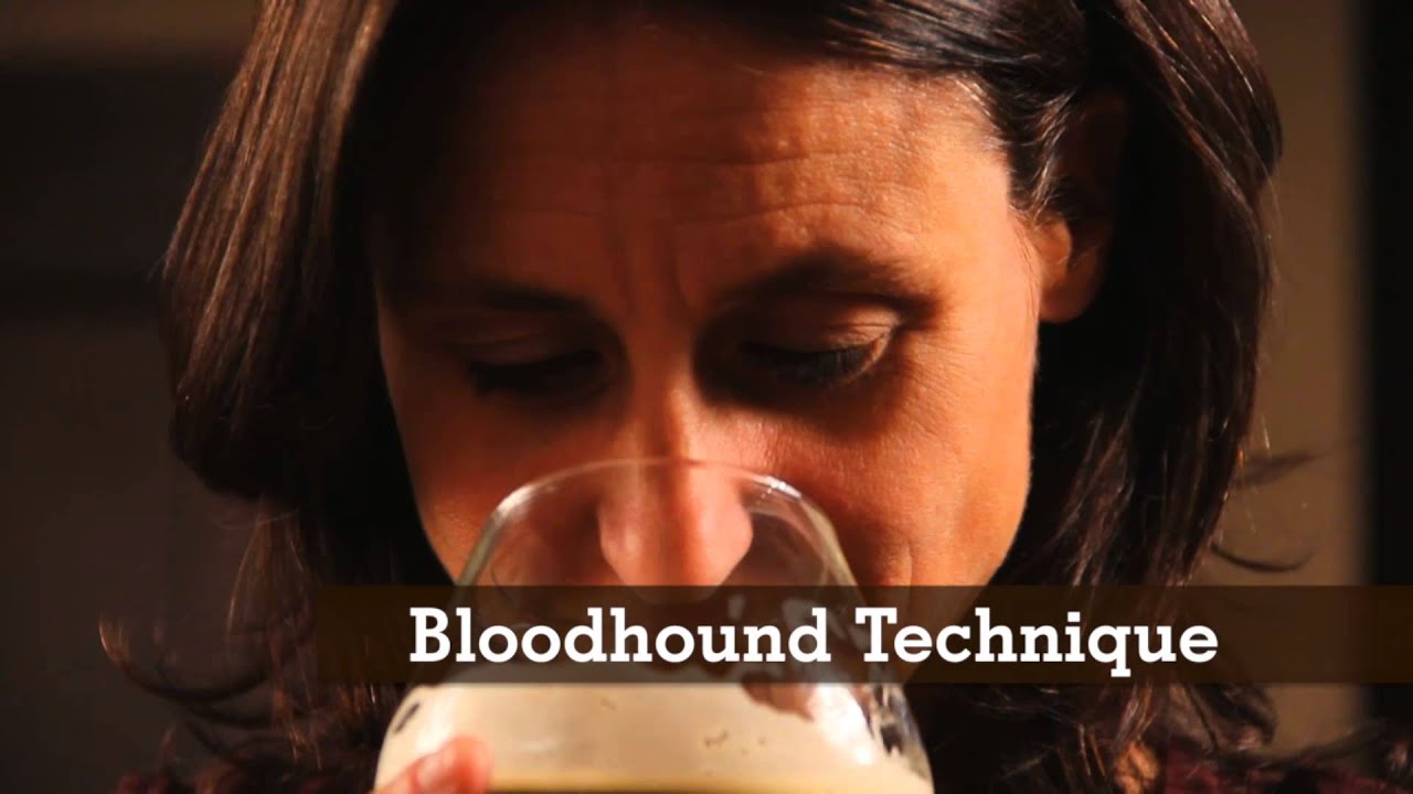 CraftBeer.com: Tasting Craft Beer