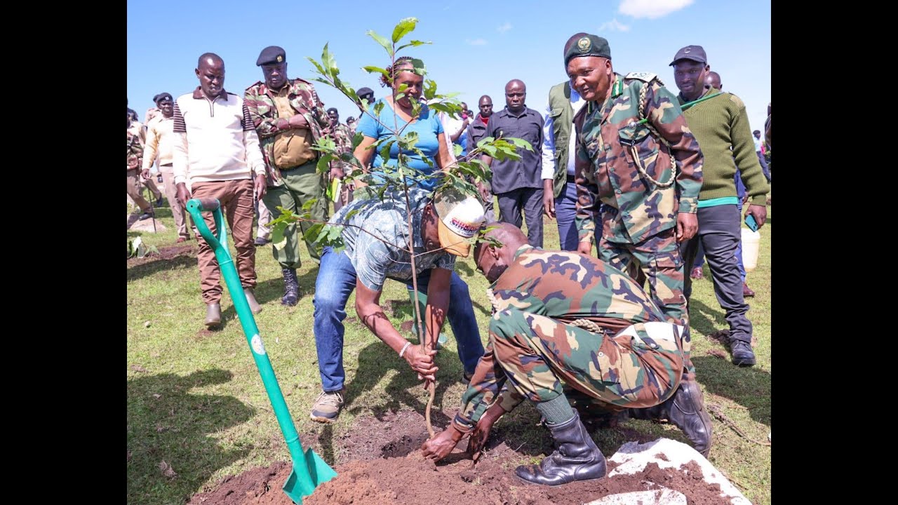 Tree Planting Exercise in Kobujoi forest, Nandi County