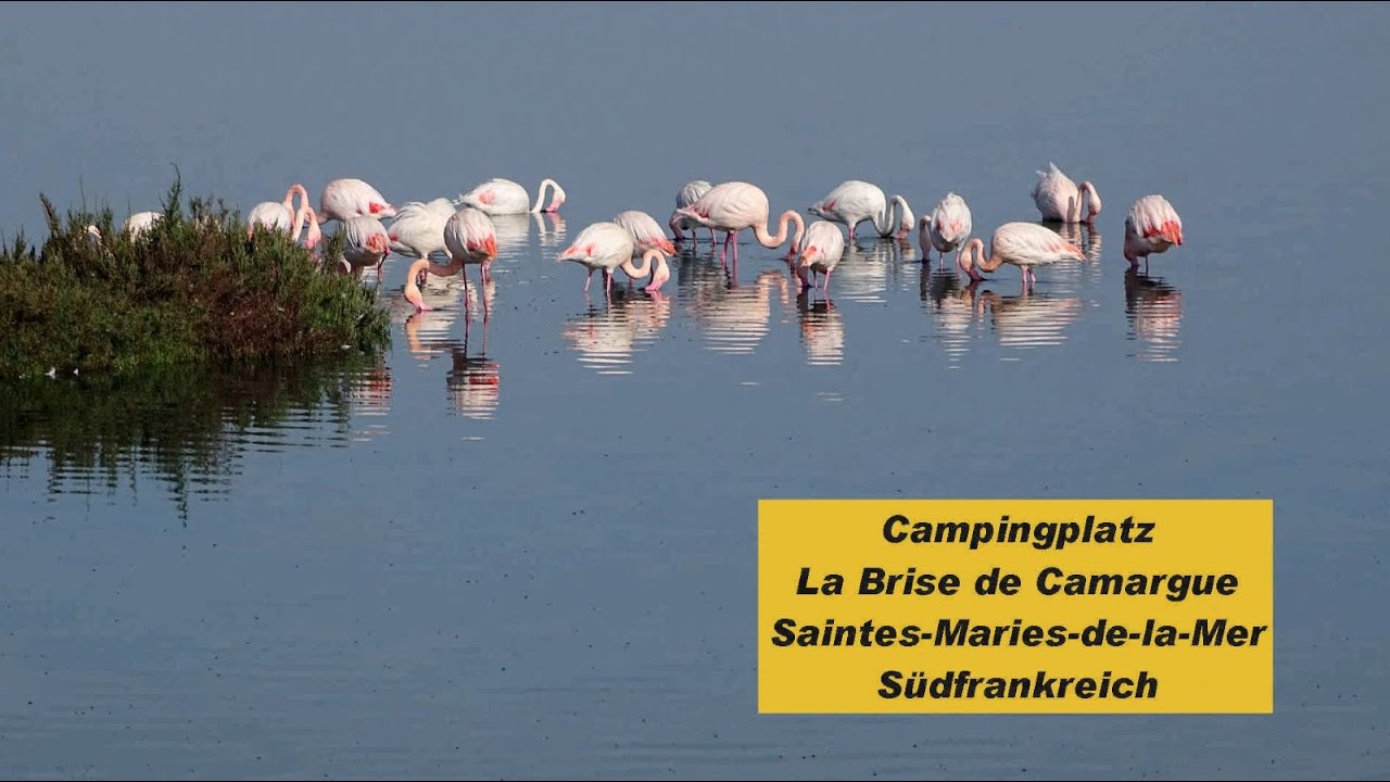 Camping La Brise de Camargue in Saintes-Maries-de-la-Mer (Frankreich)