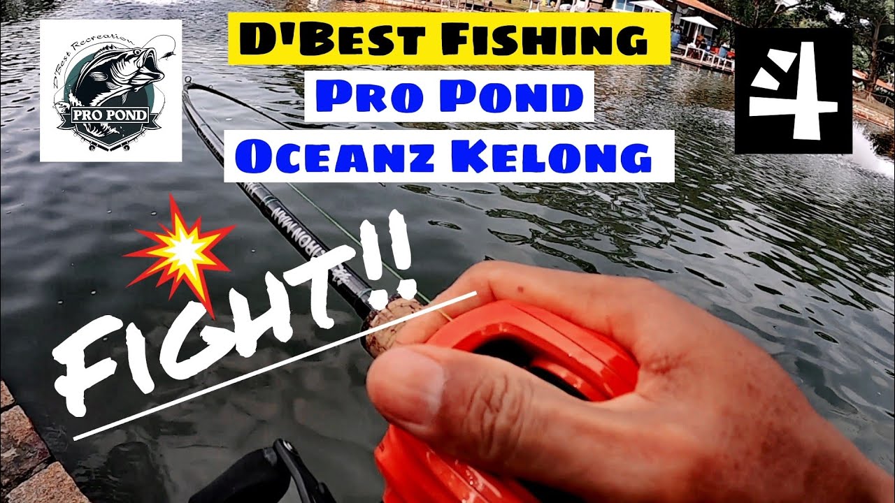 EP20嫌鱼塘太大？没关系，这里还有小的。Singapore D'best Fishing Pro Pond.