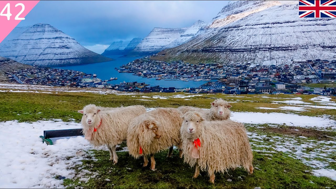 klaksvik in Winter flea market / meeting another workawayer
