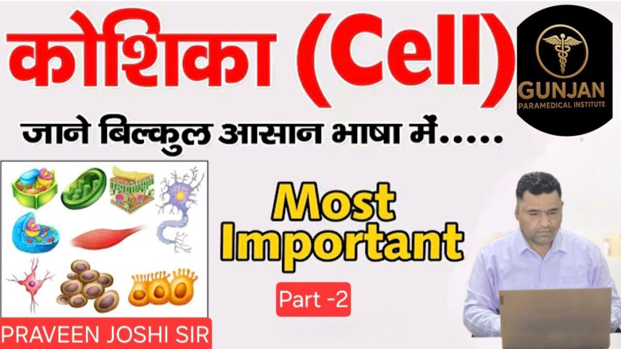Cell Part 2