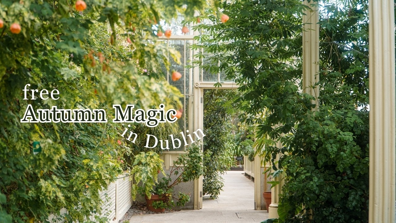 Free Autumn Escape at the National Botanic Gardens | Dublin in Full Fall Colour 🍁