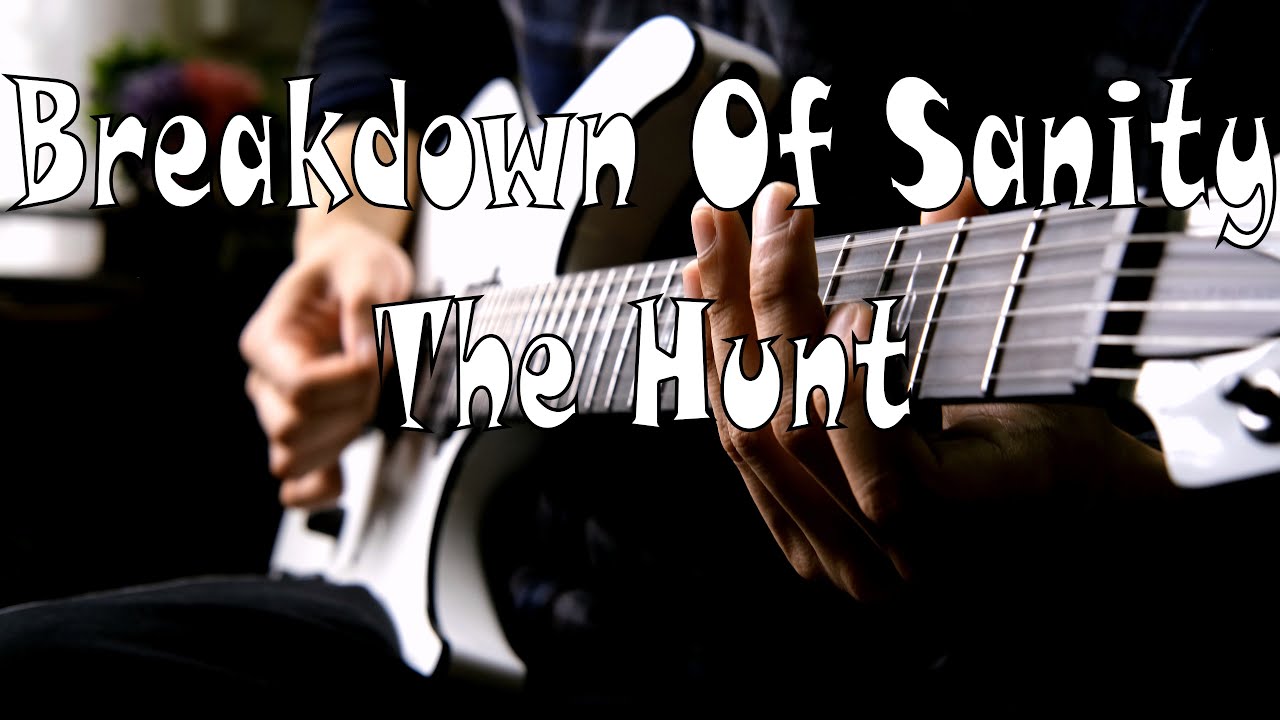 Breakdown Of Sanity - The Hunt (Guitar Cover)