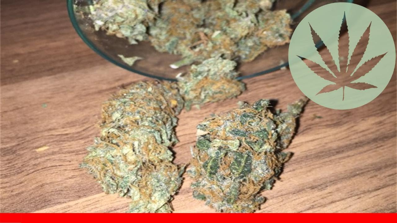 Barbara Bud - All About This Strain
