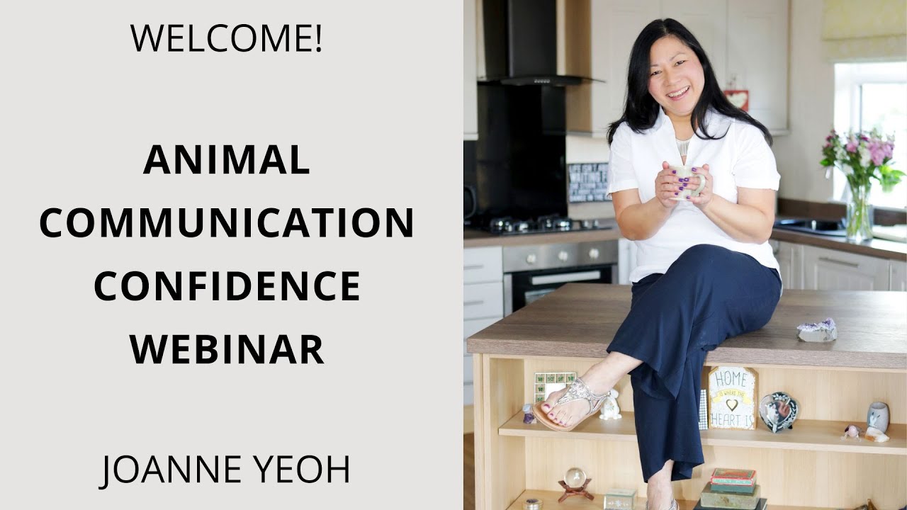 Animal Communication Confidence Webinar