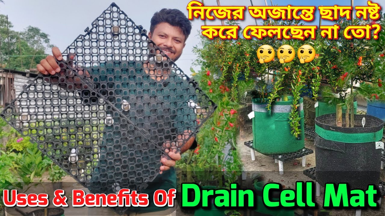 ছাদ বাগানে Drain Cell Mat ব্যবহারের সুবিধা। Uses and Benefits Of Drain Cell Mat For Terrace Garden।