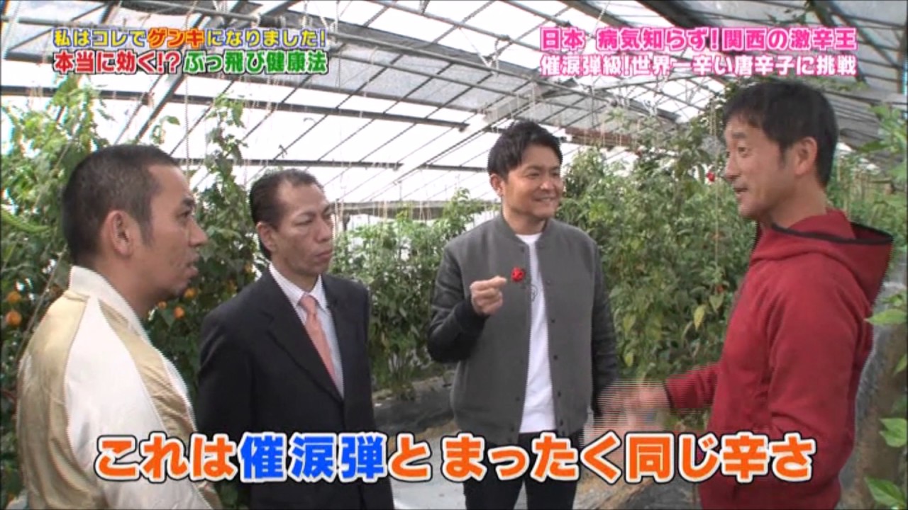 探偵ナイトスクープの激辛 世界最強激辛