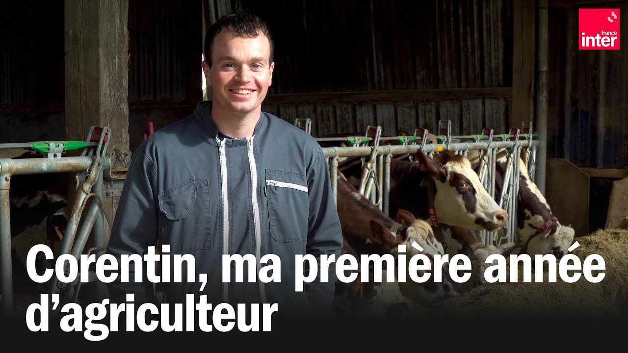Première année d'exploitation agricole pour Corentin - Épisode 1 : l'hiver