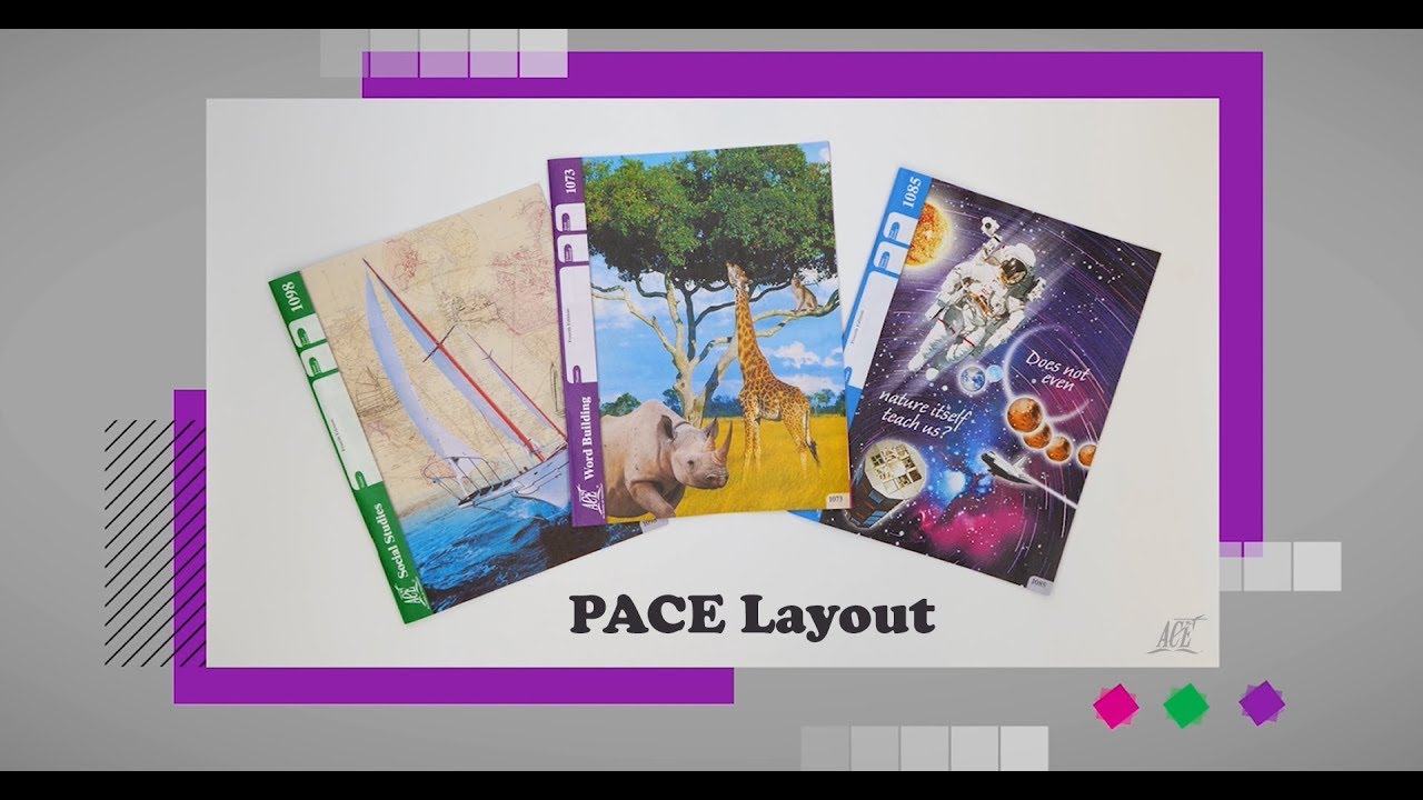 Макет PACE