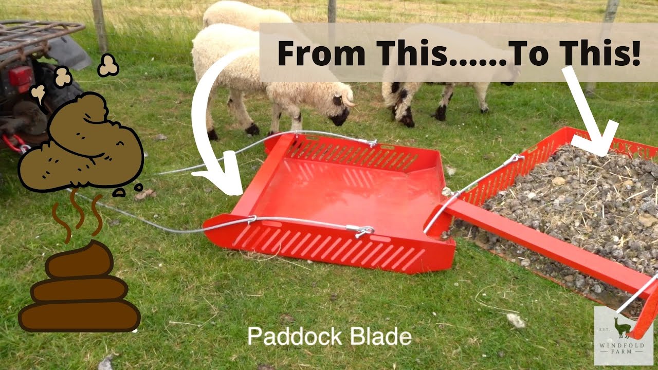Сборщик овечьего помета - Paddock Blade - Windfold Farm - 102