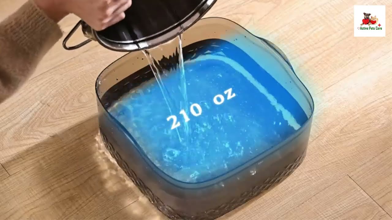 Mailofy Dog Water Fountain for Large Dogs || Best Pet Water Fountain