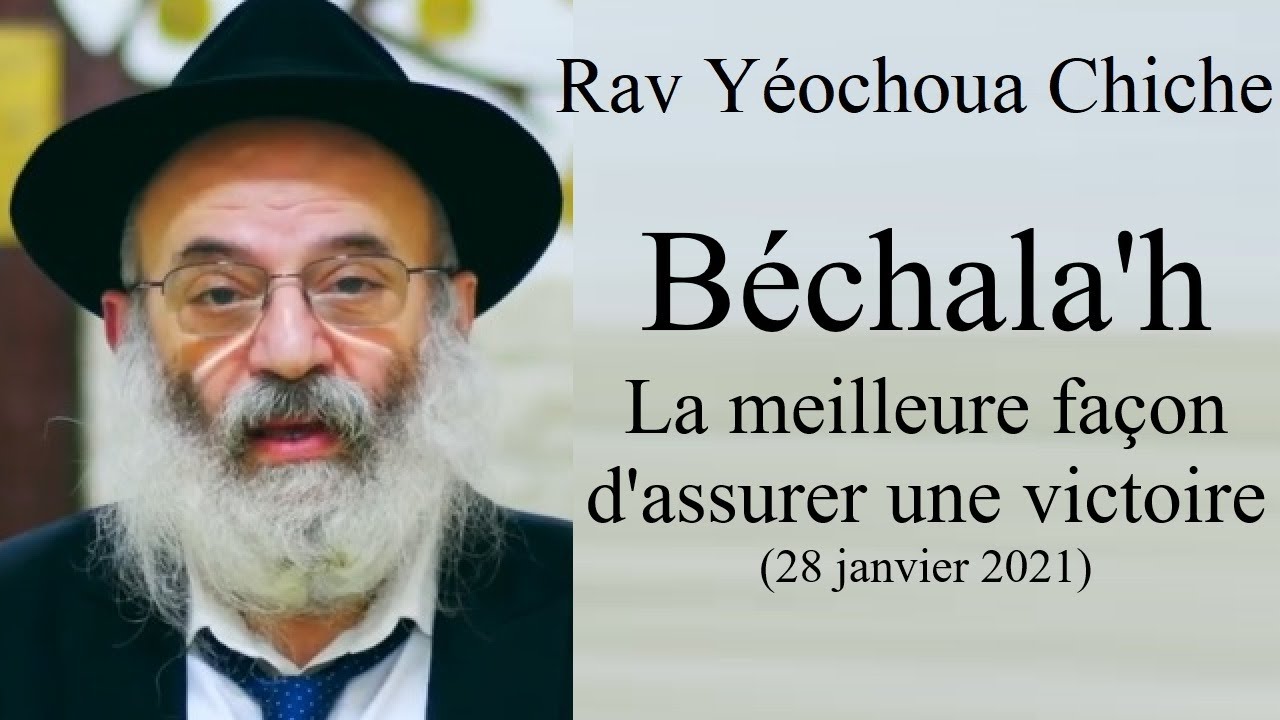 Rav Yéochoua Chiche - 16 Béchala'h - La meilleure façon d'assurer une victoire