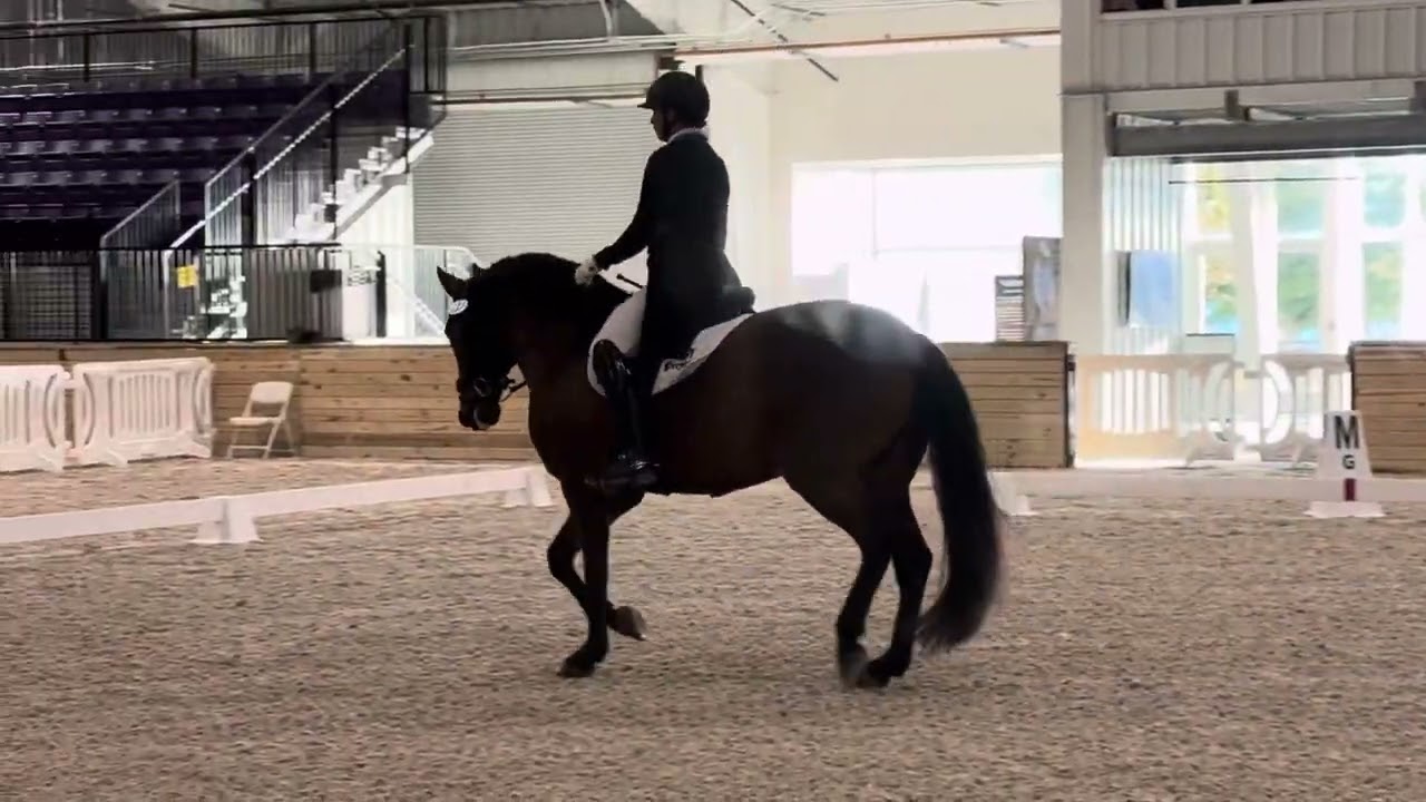 Xanadu WEC warm up
