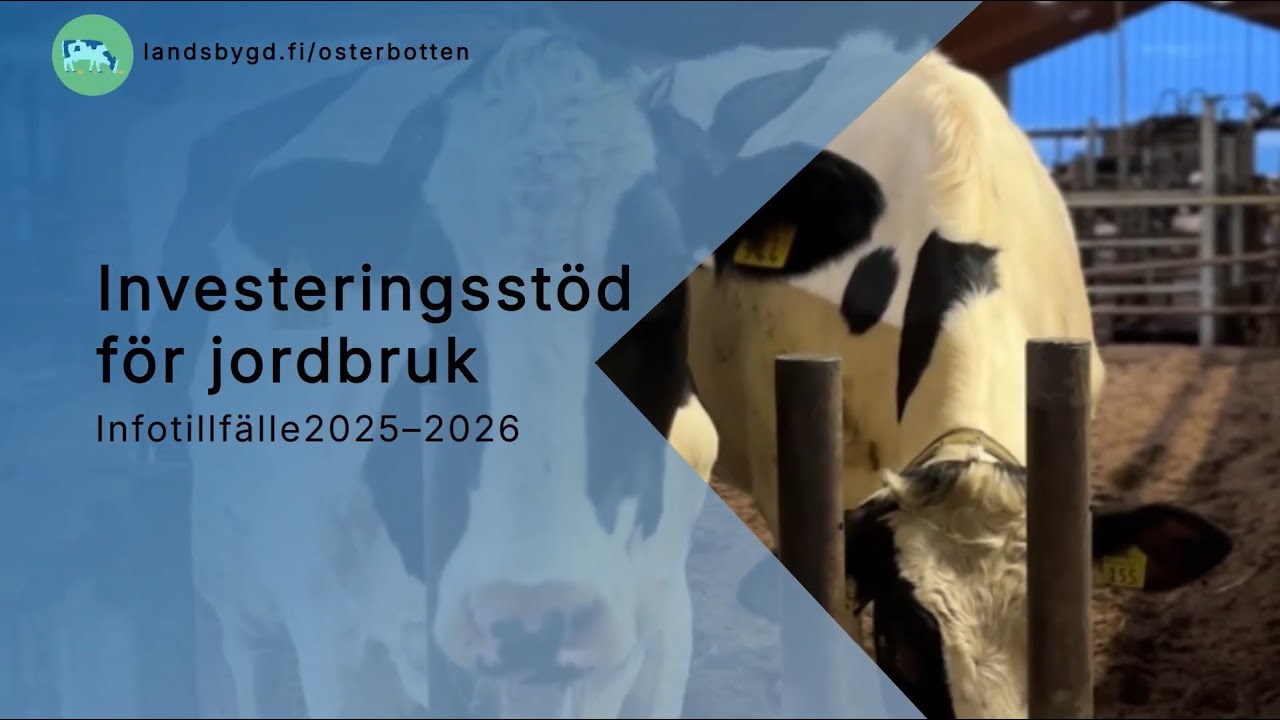 Investeringsstöd för jordbruk: infotillfället 2025–2026