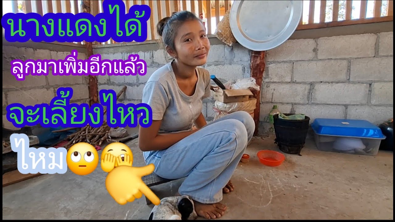 นางแดงบ่นว่าลูกใช่เงินเก่งจนไม่อยู่กับพ่อแม่แล้ว.เอาลูกมาเพิ่มอีกตัว😄#แม่น้องรุ่งบ้านนา#16/3/26