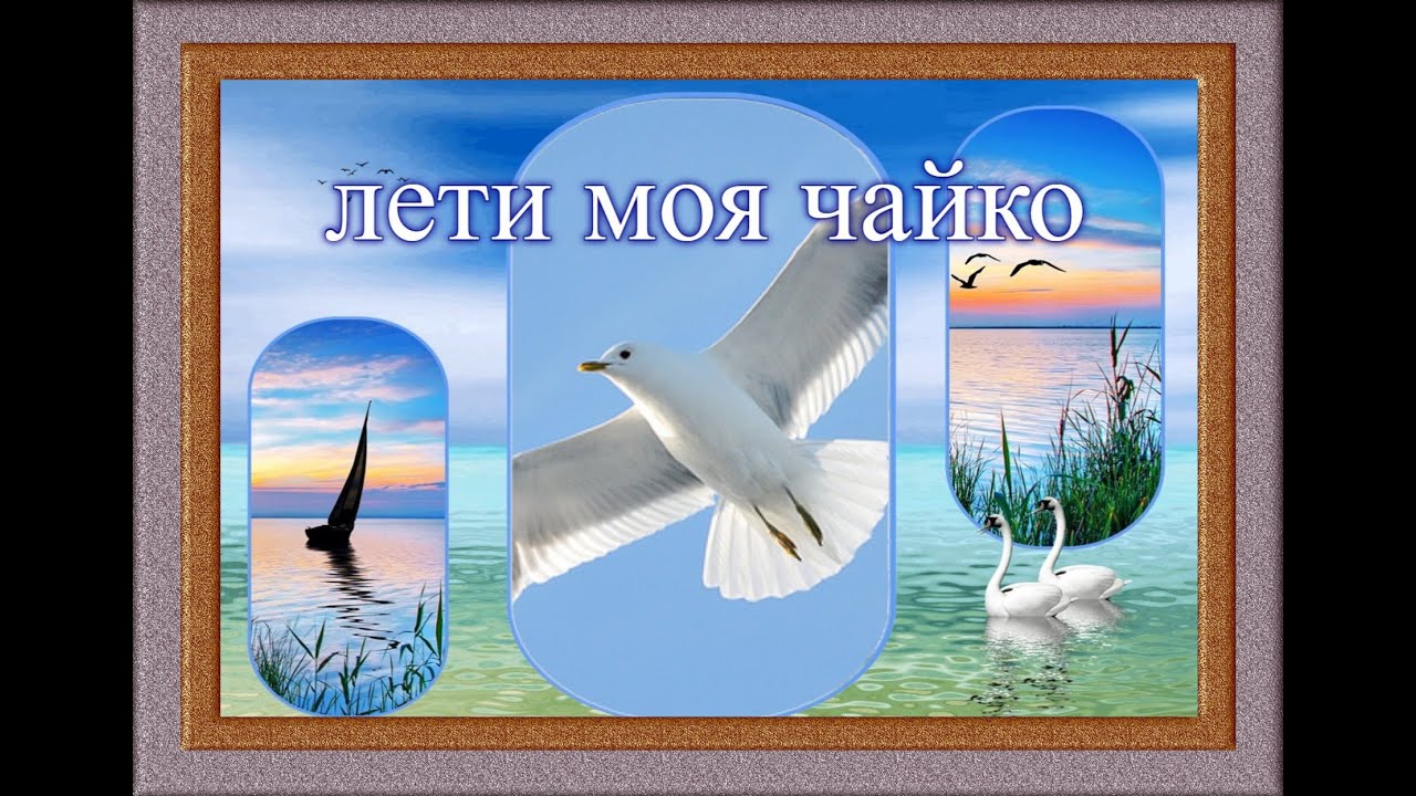 ЛЕТИ МОЯ ЧАЙКО