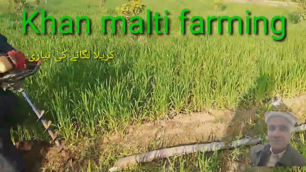 کریلا لگانے کا آسان طریقہ 