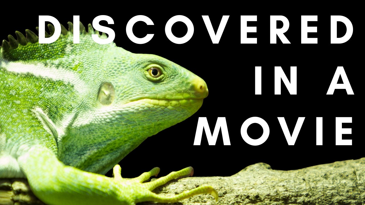 5 Species Discovered in Movies, Social Media, and Online Auctions
