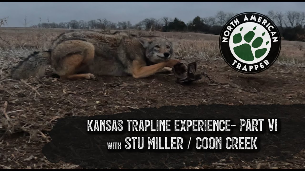 KANSAS TRAPLINE ADVENTURE #6 ~ w/ Stu Miller of Coon Creek Outdoors ~ North American Trapper