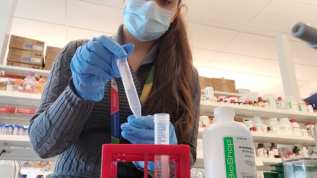 🧪 How to make 15% SDS PAGE gels *easy peasy* perfect for low mw proteins || practical biochemistry