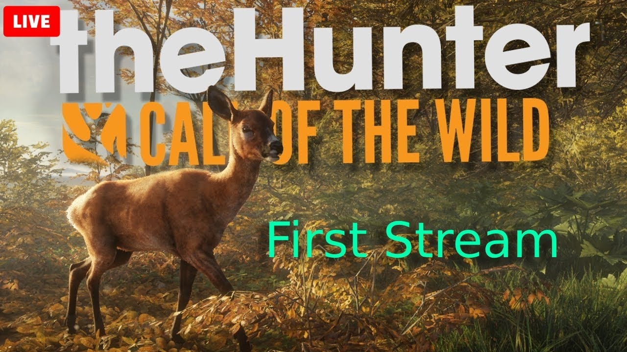 MY FIRST STREAM! |theHunter: Call of the Wild Live 🦌