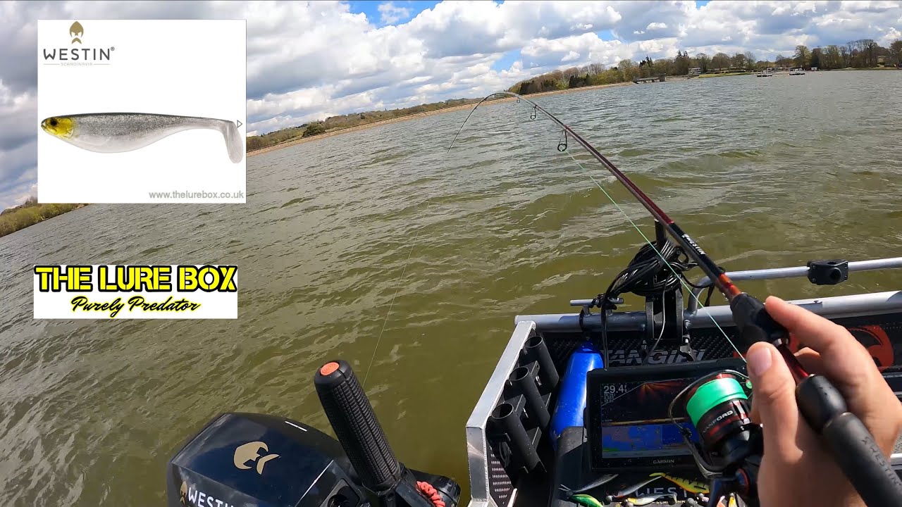 Shadteez compilation - pike, perch and zander candy #lurefishing #westinfishing #lurefishinguk