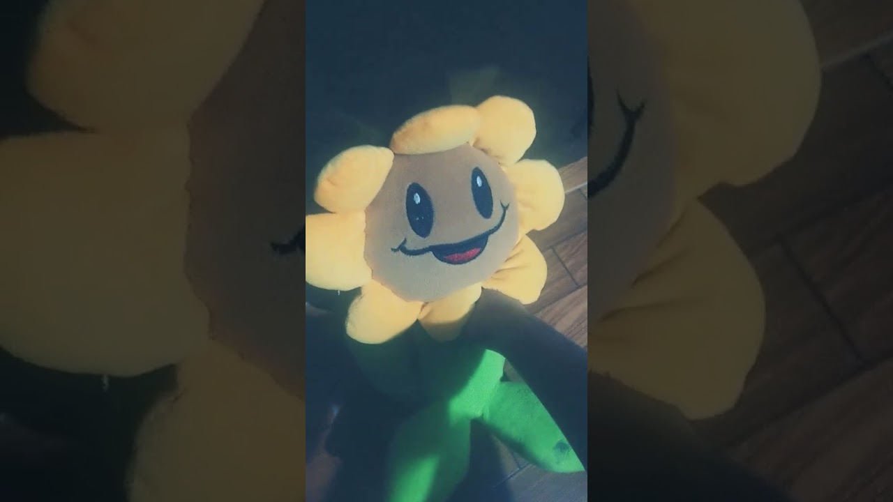 sunflower dies once again
