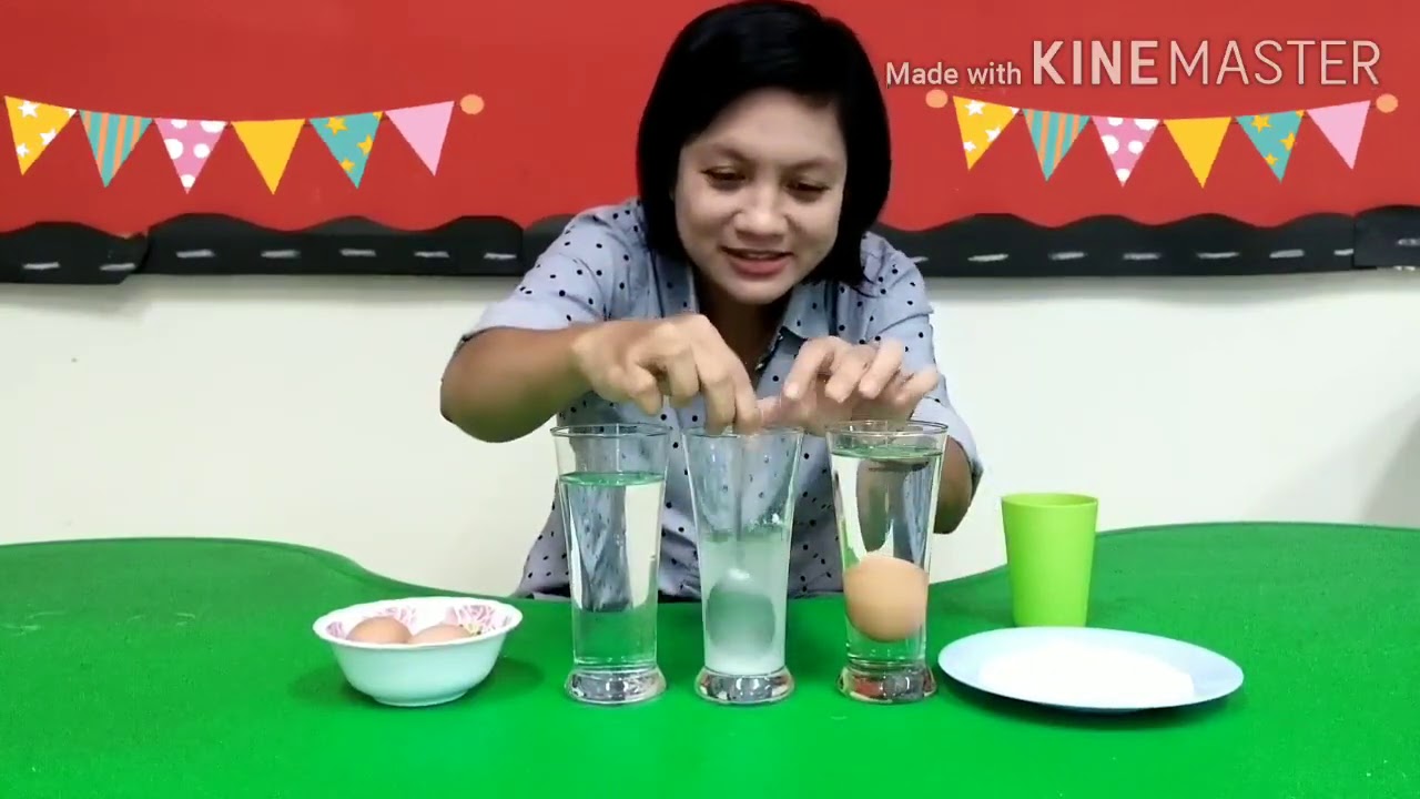 Science - Floating egg experiment