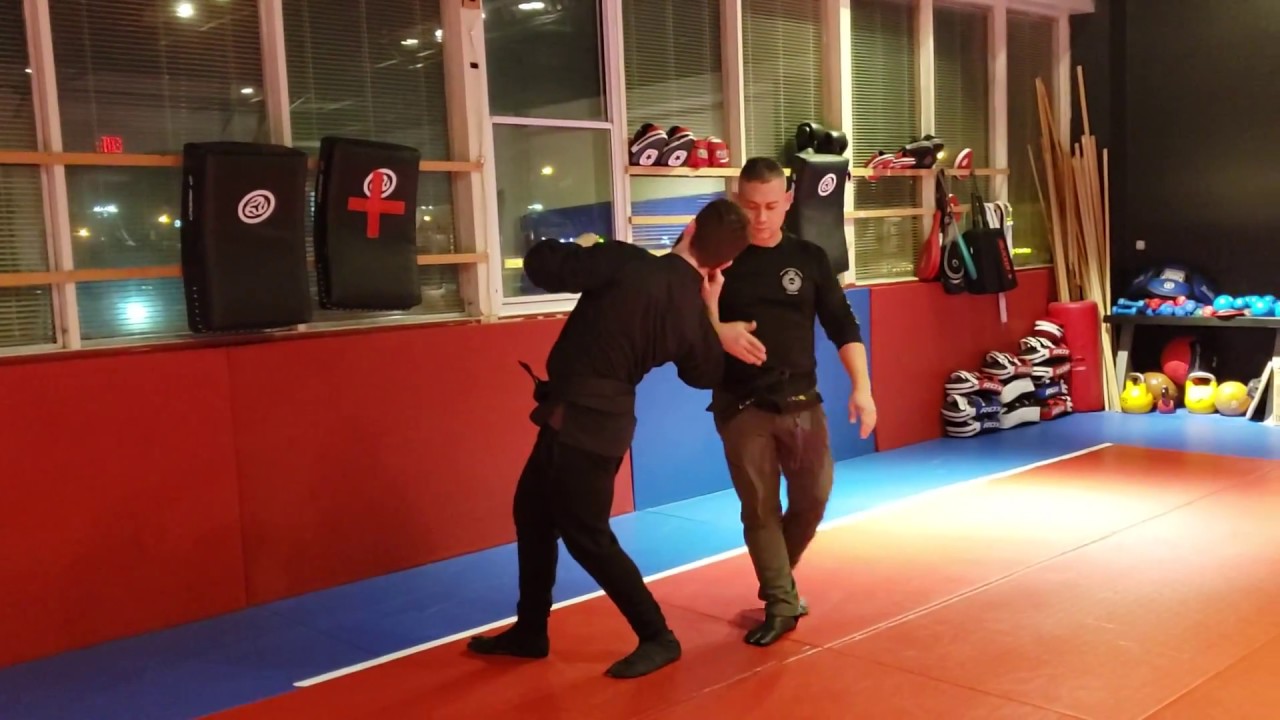 Space Warrior Martial Arts Bujinkan Ninpo Toronto Ninjutsu, Muto Dori/Control, & Floating on a Cloud