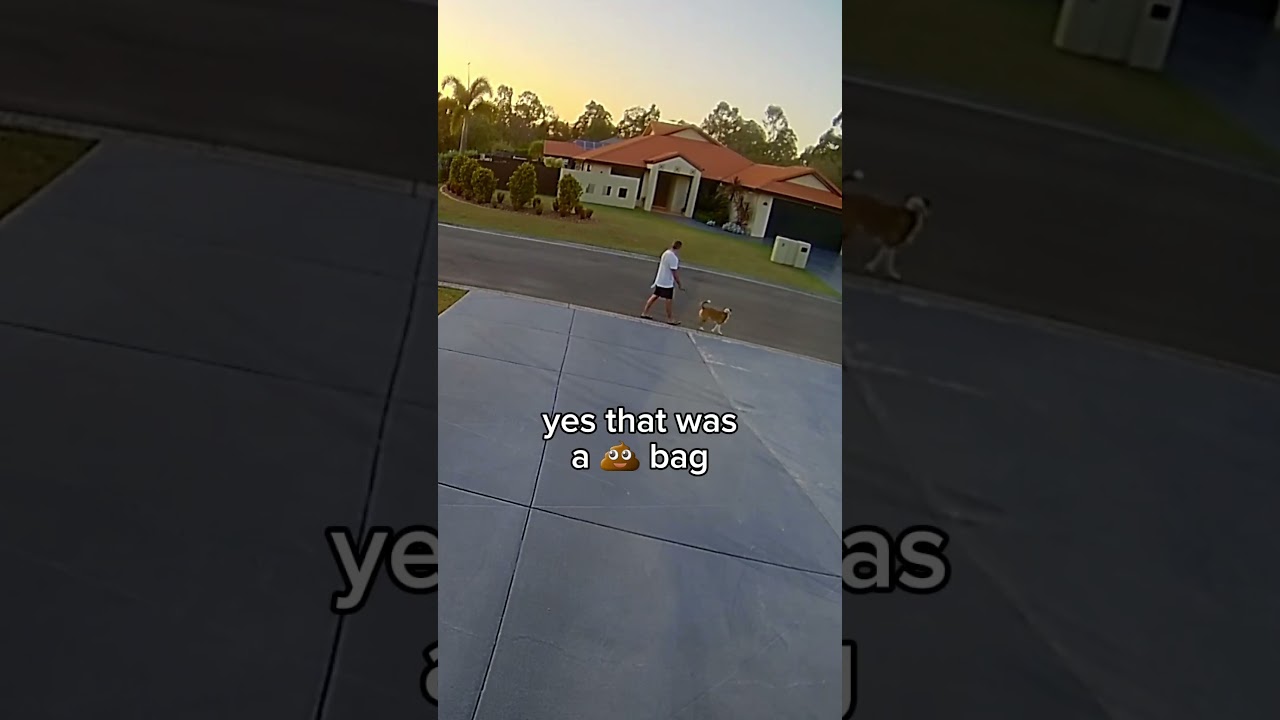 It's swooping season in Australia, and this is your only defence